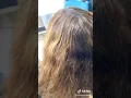 Rapidin como utilizar 000 un ejemplo