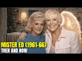 Mister Ed 1961-66 Cast Then Now 65 Years Later What Happened