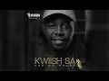 Kwiish SA - Teka Main Mix feat. De Mthuda & Da Ish - Visualizer Mp3 Song Download