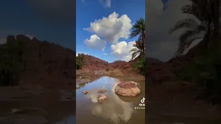 فضل ذكر الله 