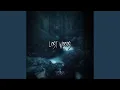 Download Lagu Lost Woods (Slowed + Reverb)