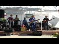 Whiskey Drinkin' Fool by Davy Allard