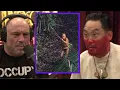 Download Lagu How David Choe Hunted With CANNIBALS  | Joe Rogan Experience