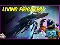 How To Get Living Frigates In No Man s Sky Endurance Freighter Update