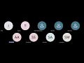 Advanced Java Class 3