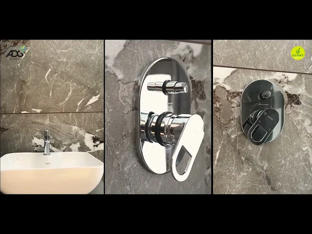 Project Video