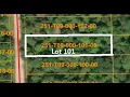 16253 Timberline Drive LOT 101 Wolverine MI - 201839355