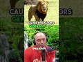 Download Lagu Sleeping Man EATEN ALIVE by BEAR While Recording | JRE  #joerogan #jre #animalshorts
