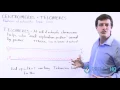 Telomeres Telomerase and their Function