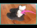 Put THIS in your shoes OVERNIGHT Remove Odors out of Stinky Shoes Stinky Shoes Life Hacks Life