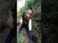 Download Lagu mastran burung lucu viral terbaru hiburan warga +62 funny short ngakak