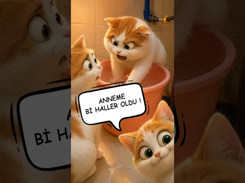 Annemin Beyni Yandı 😬😹 #kedi #cat #komedi