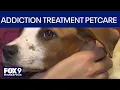 Partnership provides pet care for people in addiction treatment