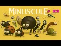 Download Lagu Minuscule the long Road - Compilation #22 #antkeeper #swiss #german #hobby #ants  #forkids  #nature