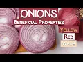 Onions and Their Beneficial Properties Yellow Red White