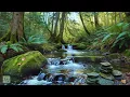 Download Lagu Flow Mountain River flow in green forest. River Sounds, Flowing Water 11 hours White Noise Sleep #33