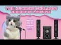 Download Lagu Sholawat Shohibus Syafaah Versi Kucingku Solawat,Kucing Lucu Sholawatan