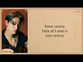 Download Lagu ENHYPEN Sweet Venom Easy Lyrics