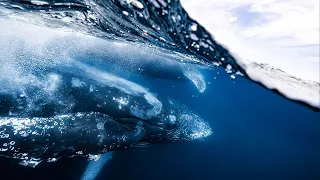 How a 14-Year-Old won the 2026 Hasselblad Masters Award!