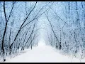Download Lagu Cold - Jorge Mendez(Slowed)