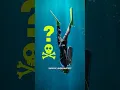 Download Lagu What Would Happen To Your Body In The Deep Ocean?