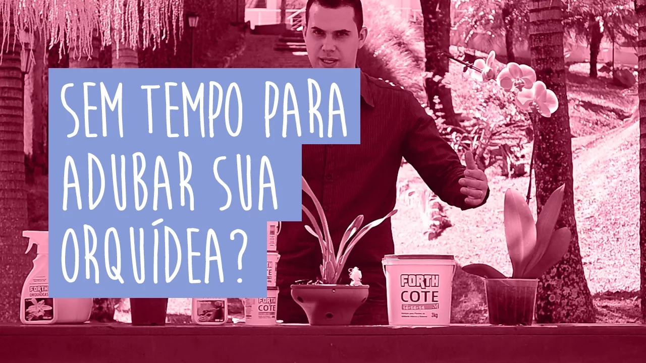 SEM TEMPO PARA ADUBAR SUA ORQUÍDEA?