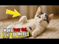 5 Psychological Tricks That Make Your Cat Love You More