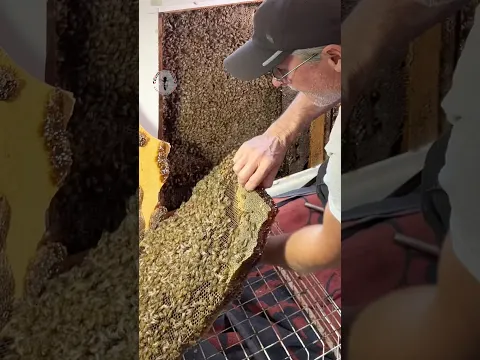I Almost Sucked the Queen