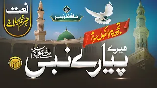 beautiful naat sharif 2023 mera payaray nabi hafiz zubair merciful nasheeds