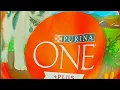 PURINA ONE PLUS HEALTHY PUPPY FORMULA REVIEW