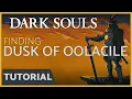 Dark Souls - How to Find Dusk of Oolacile