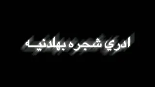 وين الغرام محمد عبد الجبار شاشه سوداء دندنها