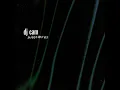Angel Dust - DJ Cam