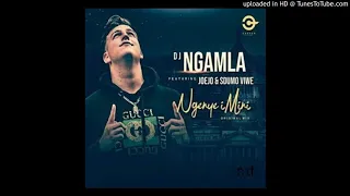 dj ngamla ngenye imini ft sdumo viwe u0026 joejo