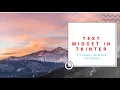How to use text widget in tkiner tkinter Python