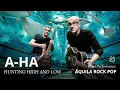 Download Lagu A HA - HUNTING HIGH AND LOW (Áquila Rock Pop)