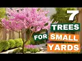 Small Yard Plant THESE 7 Gorgeous Ornamental Trees