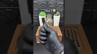Would you try this saving method