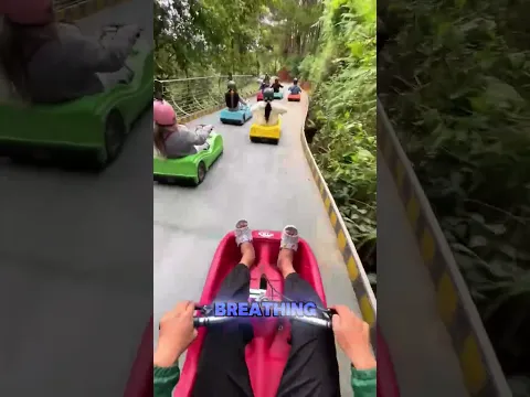 🚦🔥 Wild Karting Competition! #funny