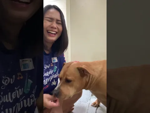 #รักหมา #หมาน่ารัก #ทาสหมา #reelsviralシ #fbreels #คลิปReels #fb #pet 19