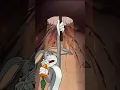 Bugs Bunny and the importance to test the waters Looney Tunes Boomerang Uk