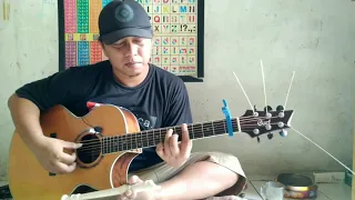 my heart will go on celine dion fingerstyle cover 