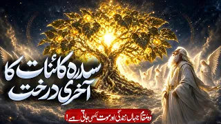 Sidratul Muntaha Kya Hai | 7 Asman Ka Akhri Kona | Shab e Miraj | Rohail Voice
