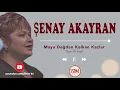 Download Lagu Maya Dağdan Kalkan Kazlar - Şenay Akayran