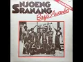 Njoeng Sranang_Basja Awanka (12 inch) 1981