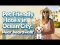 Pet Friendly Hotels in Ocean City Md Near Boardwalk