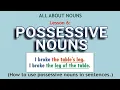 Possessive Nouns How to use possessive nouns in sentences All about Nouns Lesson 6