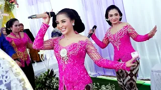 sragenan cokek sesideman gubuk asmoro ireng manis campursari prima swara cokek mania