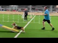 Kirby Red Dirt Agility Club of Oklahoma Trial on August 30 - September 1 2024