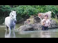 Download Lagu Cooking And Bathing For Horse, Dog, Goat, Pig,... A Relaxing Day By The Stream With Pets